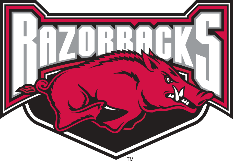 Arkansas Razorbacks 2001-2008 Alternate Logo v2 diy fabric transfer